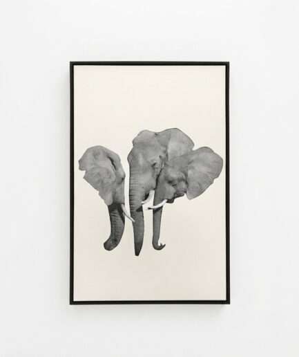Cuadro decorativo Elefante Contraste.