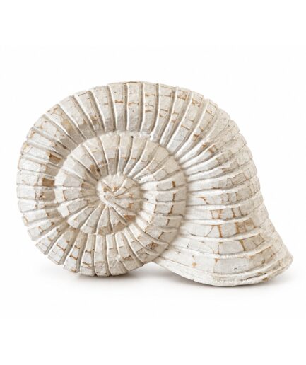 Figura Decorativa de Amonita Espiral Envejecida
